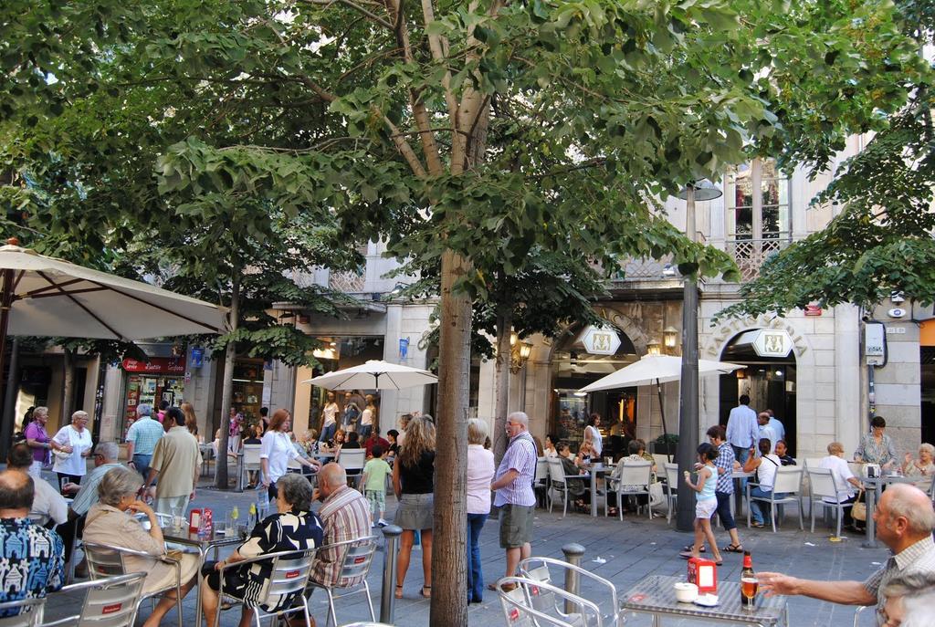 Villa Carolina Ματαρό Δωμάτιο φωτογραφία